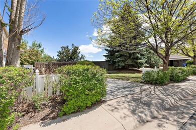 Front yard with pine