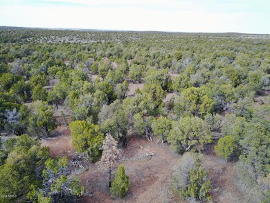 DJI_0569