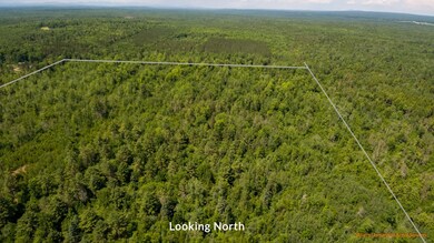 property line - North-1