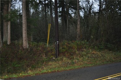 1917 Sunday Lake Rd, Stanwood, WA 98292 - photo 4