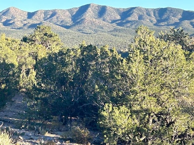 5 Broken Arrow Place, Sandia Park, NM 87047 - photo 5