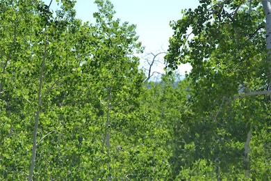 View of nature