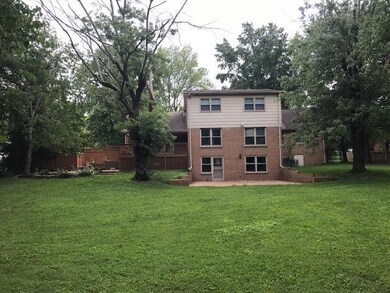 View From Rear