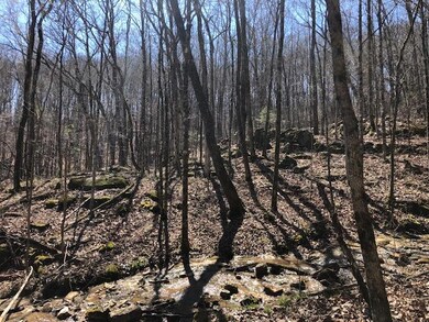 Dugan Loop Water #10