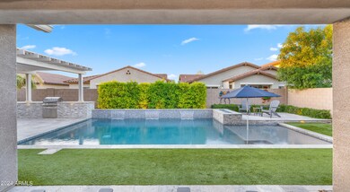 Backyard5