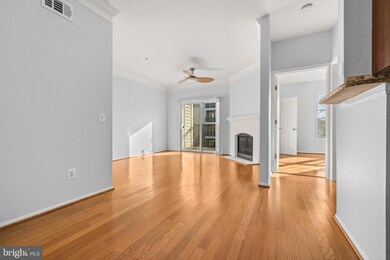 1570 Spring Gate Dr unit 7213, McLean, VA 22102 - photo 7