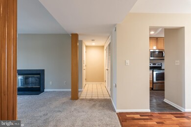 30 Paladin Dr unit 30, Wilmington, DE 19802 - photo 6