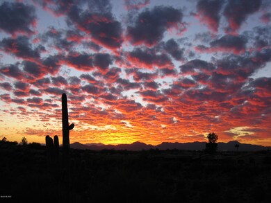 Best Sunset