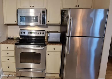 33 Maplewood Ave unit 305, Pittsfield, MA 01201 - photo 3