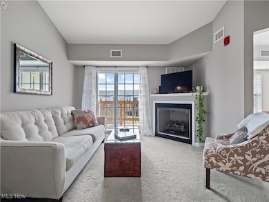 Chandlers Lane Condominiums unit 342, Olmsted Falls, OH 44138 - photo 4