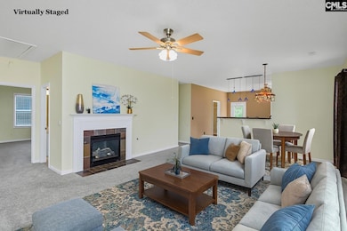 269 Farming Creek Way, Lexington, SC 29072 - photo 5