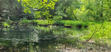 Pond-164011