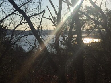 Lot 26 Briar Hill, Ruth B Rural Township, MO 65686 - photo 5