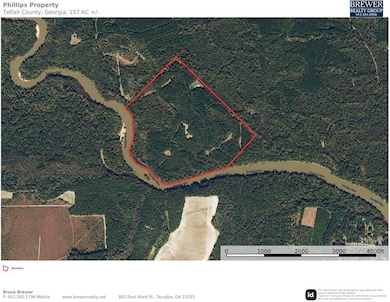 00 W River Rd, Jacksonville, GA 31544 - photo 3