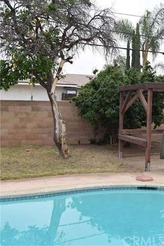Fruit Trees 