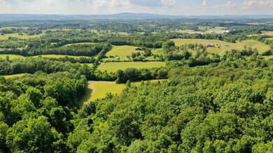 DJI_0636