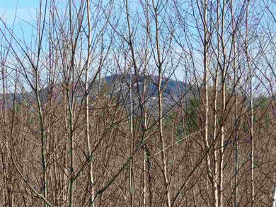 000 Concord St, Antrim, NH 03440 - photo 5