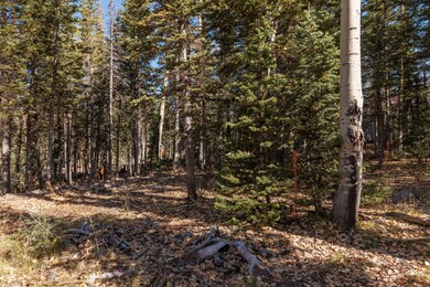 214 East Deer Trail C147 Brain Head UT 8
