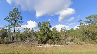 0 Maryland Ave unit 25726265, Hawthorne, FL 32640 - photo 4