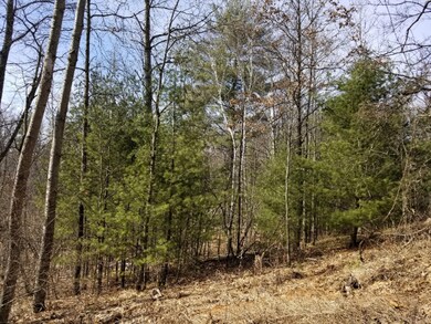 8821 30th Ave, Merrill Township, MI 49309 - photo 3