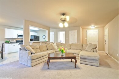 13787 Cedar Glen Cove, Alexander, AR 72002 - photo 5