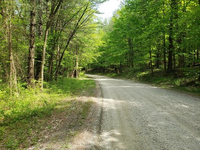 unlisted-address, South Egremont, MA 01258 - photo 6