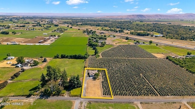 360 Orchardvale Rd, Zillah, WA 98953 - photo 4