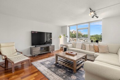 Imperial Towers unit 508, Chestnut Hill, MA 02467 - photo 7