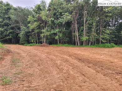 Lot 26 Fox Run Ln unit 26, Sparta, NC 28675 - photo 3