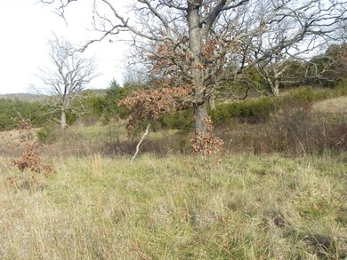IMGP0836