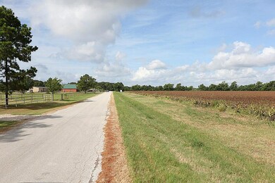 00 Philip Evan Rd, Needville, TX 77461 - photo 4