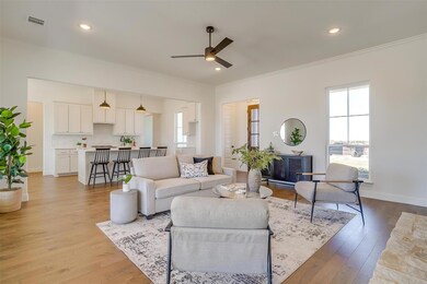 1017 Gatlin Cir, Springtown, TX 76082 - photo 5