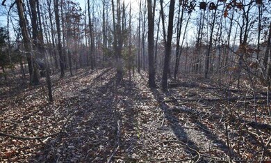 29100 Hampton Ridge Rd, Proctor, OK 74457 - photo 6