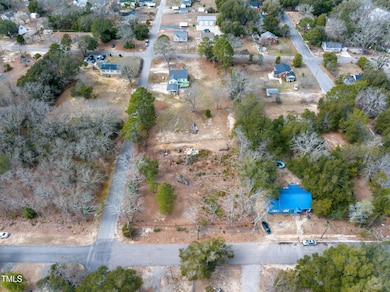 3-web-or-mls-DJI_20250307133249_0706_D