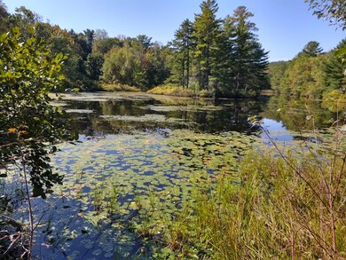 pleasant point pic frog pond 2
