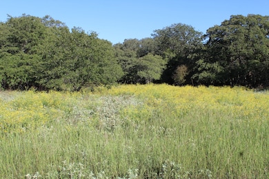 Lot 2 TBD County Road 2798, Alvord, TX 76225 - photo 2