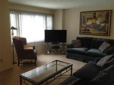 118 Orton Street Extension, Worcester, MA 01604 - photo 3