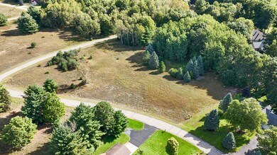 7256 Ryans Run Rd, Canadian Lakes, MI 49346 - photo 7