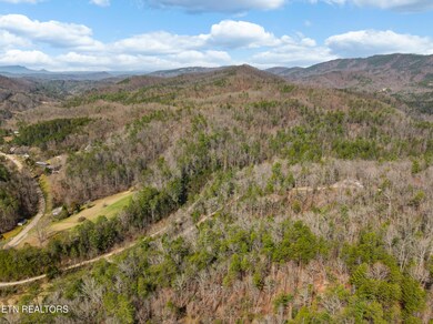 mossy cove way lot-2