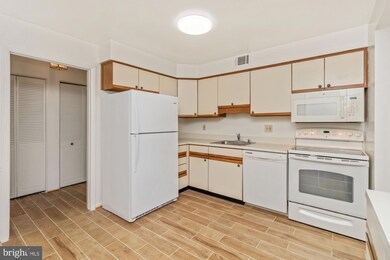 110 Castletown Rd unit 301, Lutherville Timonium, MD 21093 - photo 4