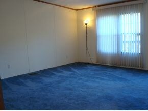 Large Living Room View 2