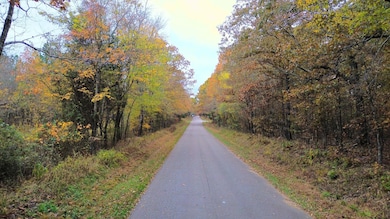 0 Point Mason Rd, Big Sandy, TN 38221 - photo 2