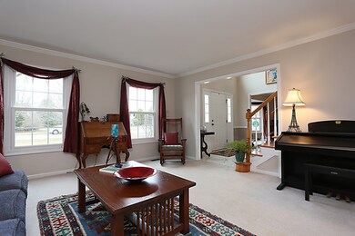 10517 S Red Stable Way, Naperville, IL 60564 - photo 2