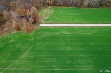 435 Bertha E Dumey Dr, Benton, MO 63736 - photo 2