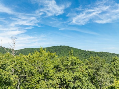 Lot 25 Panther Mountain Rd unit CVN-CVN-025, Zirconia, NC 28790 - photo 6