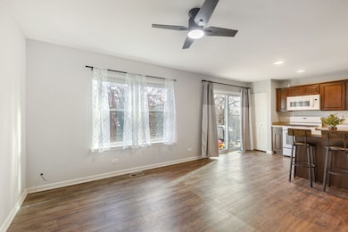 255 Wildmeadow Ln, Woodstock, IL 60098 - photo 6