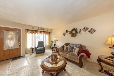 1411 Chapman Dr, Akron, OH 44305 - photo 3