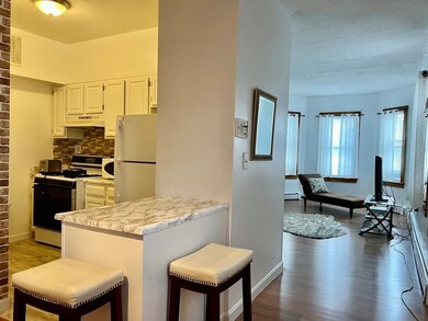 47 Lopez St unit 5, Cambridge, MA 02139 - photo 6