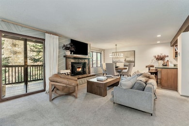 2617 Burgess Creek Rd unit A102, Steamboat Springs, CO 80487 - photo 4