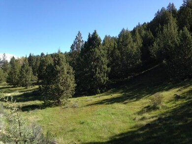 0 Lot 704 Patterson Dr unit 220104618, Canyon City, OR 97820 - photo 2